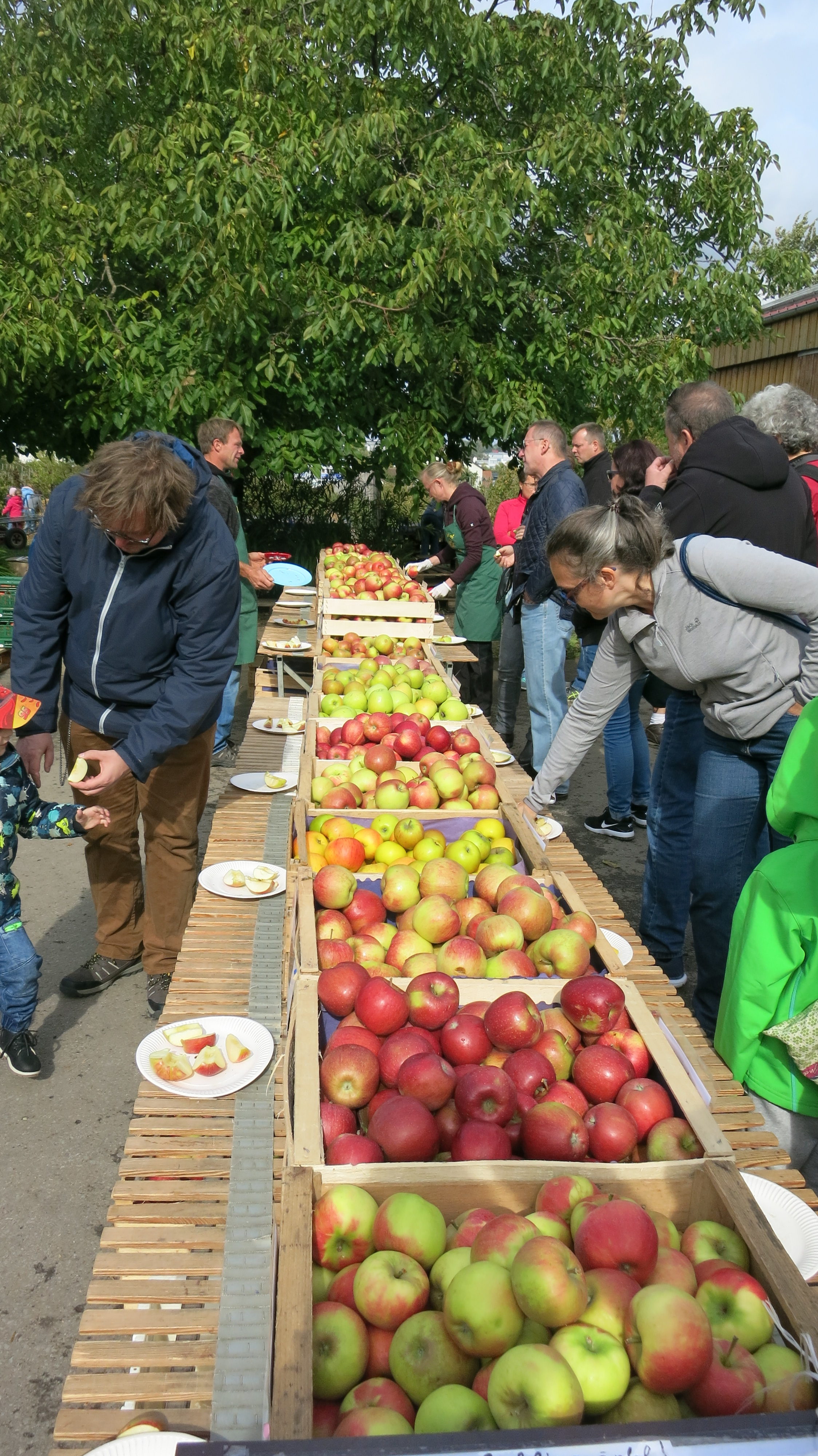 You are currently viewing Der OGV auf dem 6. Apfelfest des Obsthof Hörnle 2018