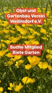 Read more about the article Suche Mitglied – biete Garten