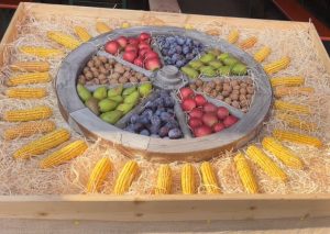 Mehr über den Artikel erfahren Apfelfest 6.10.24