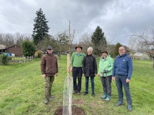 Mehr über den Artikel erfahren Pflanzen Aktion