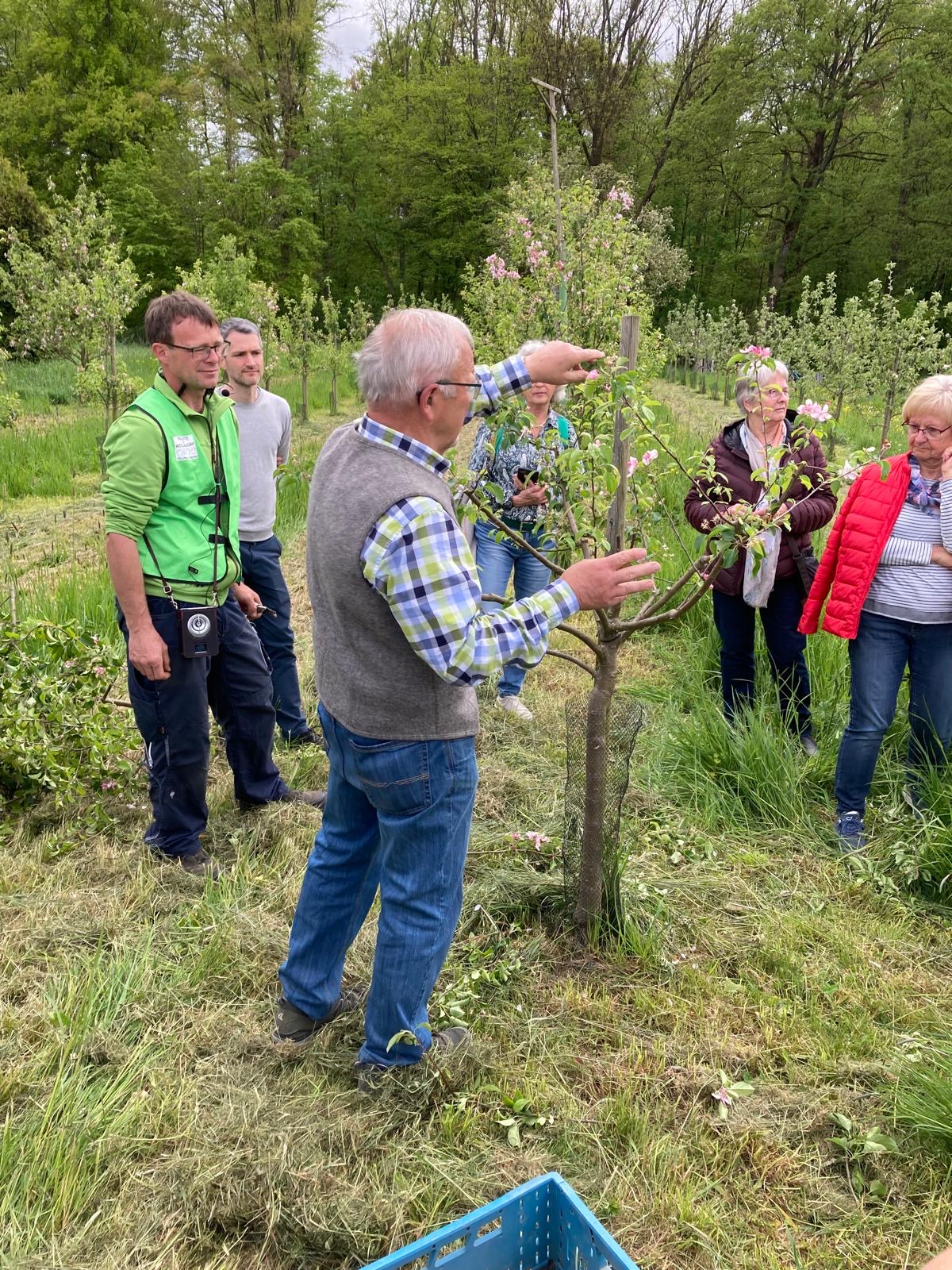 Mehr über den Artikel erfahren OGV Frühlingstag