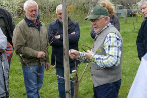 Mehr über den Artikel erfahren Rundgang durch blühende Gärten mit vielen Teilnehmern