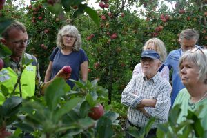 Mehr über den Artikel erfahren Vorerntebesichtigung bei strahlendem Sonnenschein