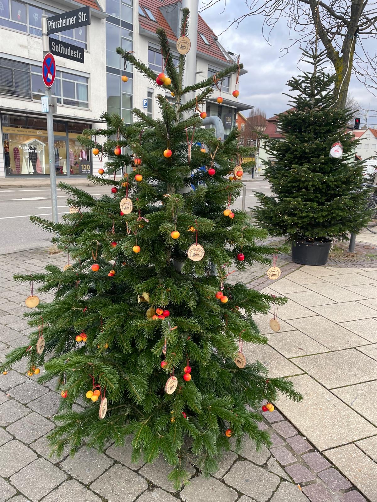 Du betrachtest gerade Weihnachtsgruß vom OGV