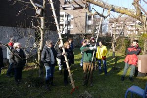 Mehr über den Artikel erfahren Jahresauftakt mit Schnittkurs